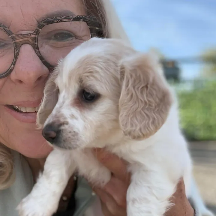 Anne et un chiot teckel crème