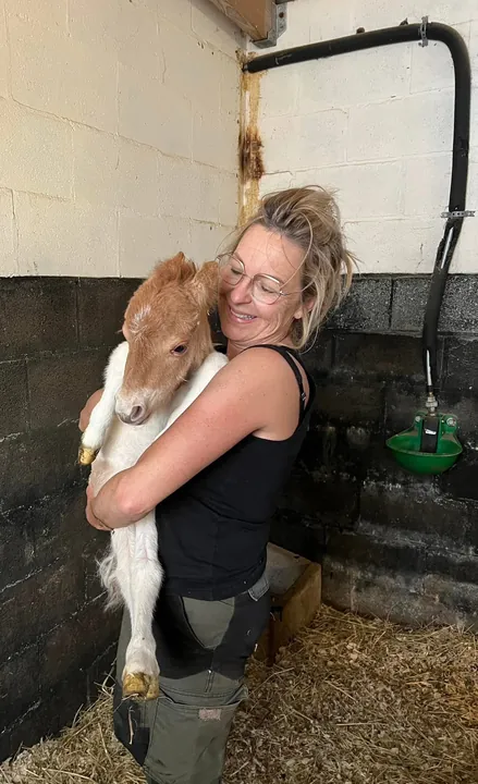 Anne et un poulain Shetland